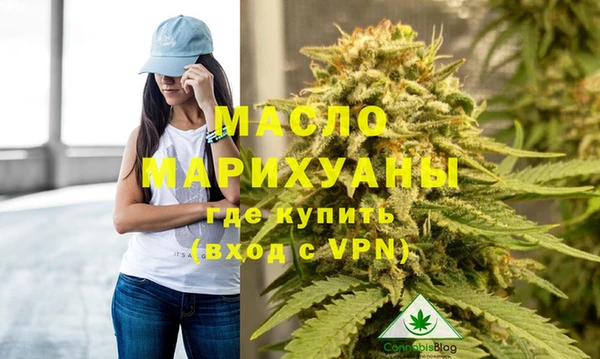 дмт Лабытнанги