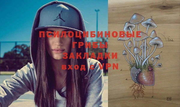 дмт Лихославль