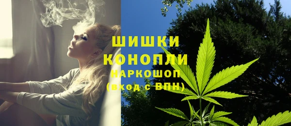 гашик Тольятти