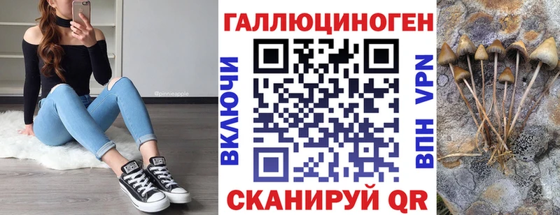Псилоцибиновые грибы мицелий Малаховка